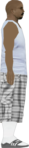 plaidshorts2.png