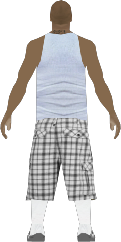 plaidshorts3.png
