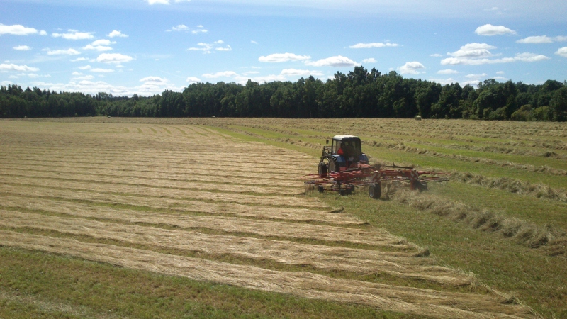 [Pilt: DSC_0353.jpg]