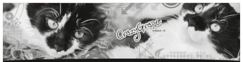 CrazyGrape-Kiisud.gif