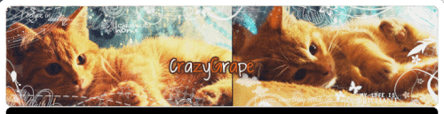 CrazyGrape-Ron.gif