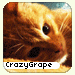 CrazyGrape-RONavatar.gif