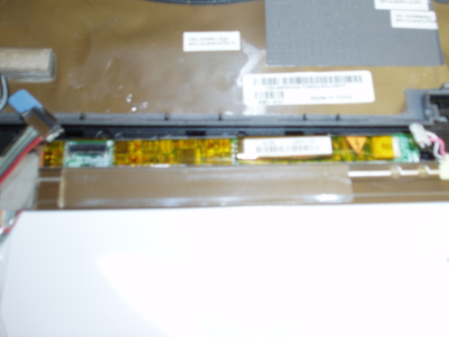 P5101461.JPG
