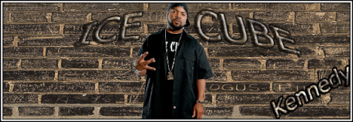 ice_cube_signa.png