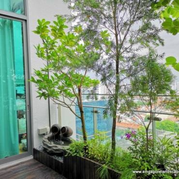 Rooftop_Garden_Design_Singapore.jpg