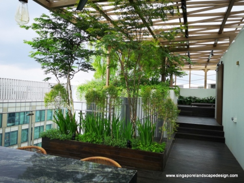 Rooftop_Garden_Design_in_Singapore.jpg