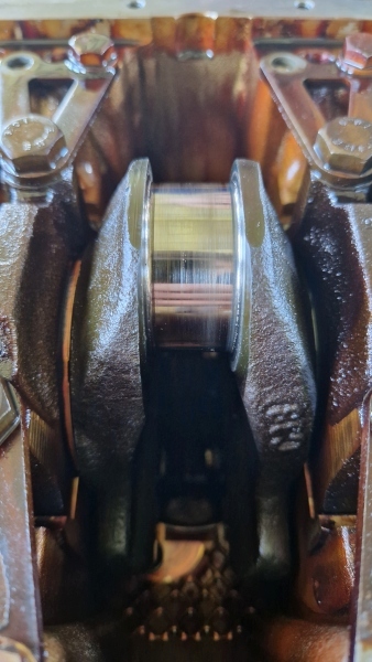 20230708_162544.jpg