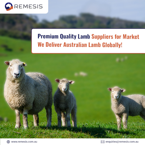 Premium_Quality_Lamb_Supplier.jpg