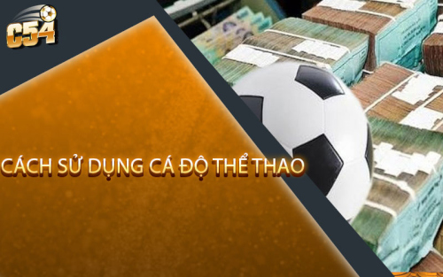 C54_Cach_su_dung_chien_thuat_de_tro_thanh_nguoi_choi_ban_ca_doi.jpg