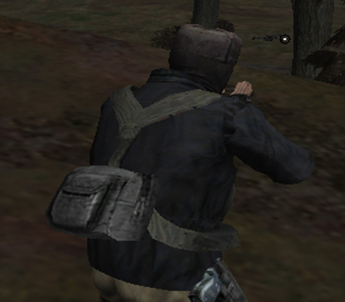 15.jpg