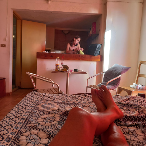 Caline_Style__8_.png