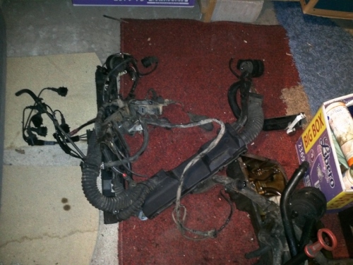 IMG099.jpg