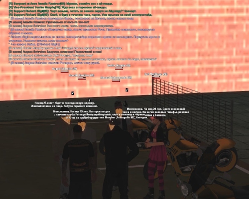 gallery6.jpg
