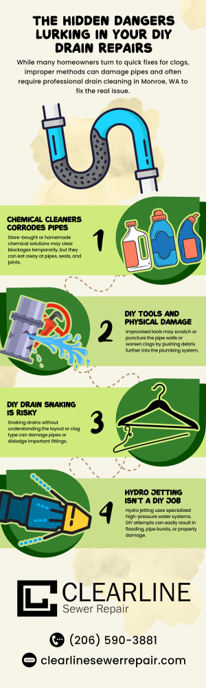 The_Hidden_Dangers_Lurking_in_Your_DIY_Drain_Repairs.jpg
