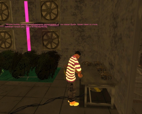 gallery14.jpg
