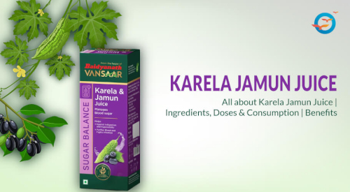 Baidyanath_karela_juice_for_diabetes.jpg