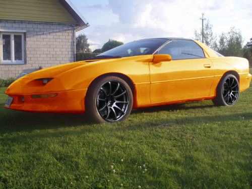 Veltsi_camaro_2_copy.jpg