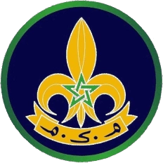 logo_scout1.webp