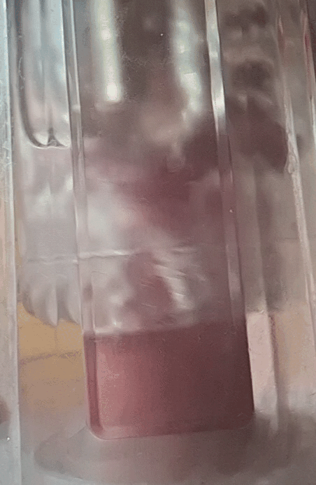 20260606_140250_1_.gif