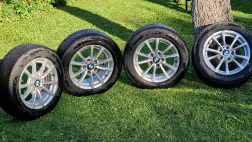 20260917_171525.jpg