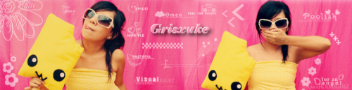Grisxuke-poosikad-roosa.png