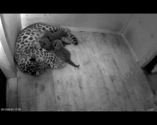 01-05--17--206.jpg