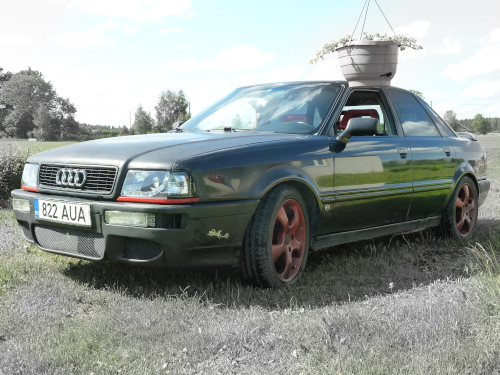 audi.jpg