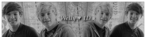 Welly-1D-hetu.png