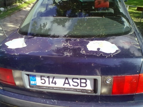 31072012285.jpg