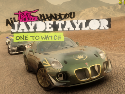 dirt2_game_2009-12-04_16-35-25-35.png