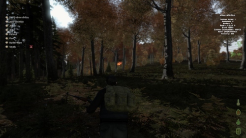 arma2oa_2012-08-13_23-11-52-13.jpg