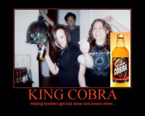 motivator_King_Cobra.jpg