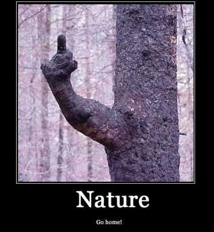 naturegy8.jpg