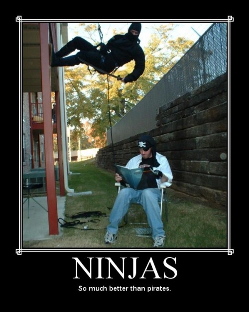 ninjakp7.jpg