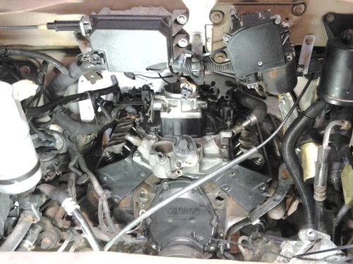20130302_160310.jpg