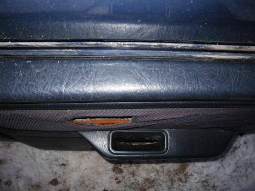 IMGP5252.JPG
