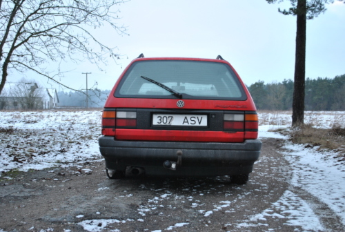 DSC_0380.JPG