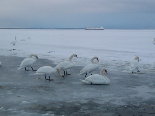 Foto0084.jpg