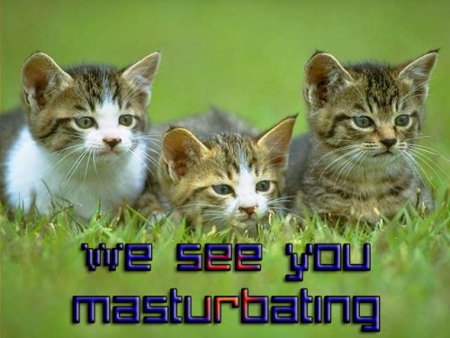 YouAre-Masturbating-Kittens.jpg