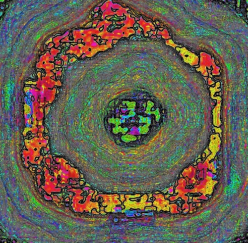 3c31_W_CLSP2_SOL_W_H.jpg