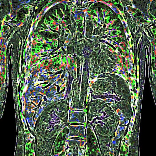 MRI_DoveImaging_00_Color.jpg