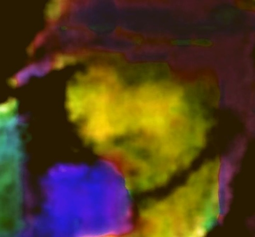 ENX_07.jpg