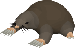 Giant_Mole.png