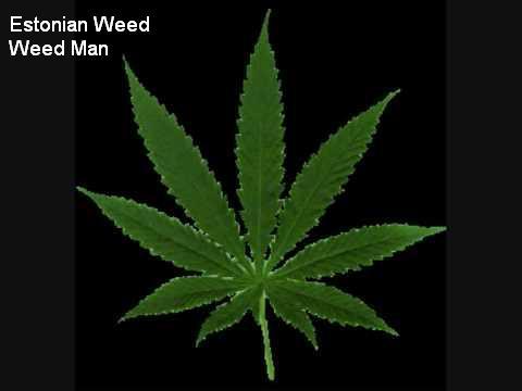 Weed_Man.JPG