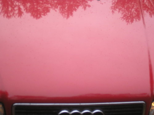Picture_013.jpg