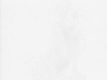 ifuseekamy.gif