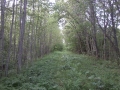 Photo0026.jpg
