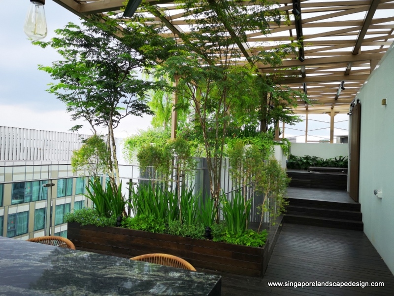 Rooftop_Garden_Design_in_Singapore.jpg