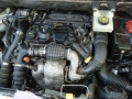 Berlingo jupp