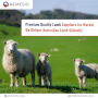 Premium_Quality_Lamb_Supplier.jpg